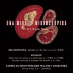 Exposición temporal “Una mirada microscópica”