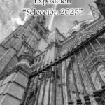 Exposición Fotográfica “Selección 2025”